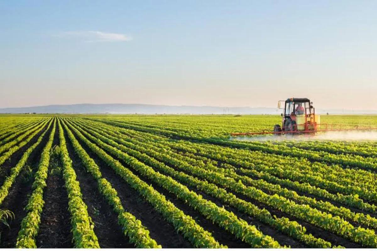 Farm Land