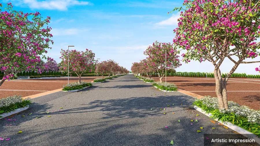 Adarsh Euphoria Plots plots