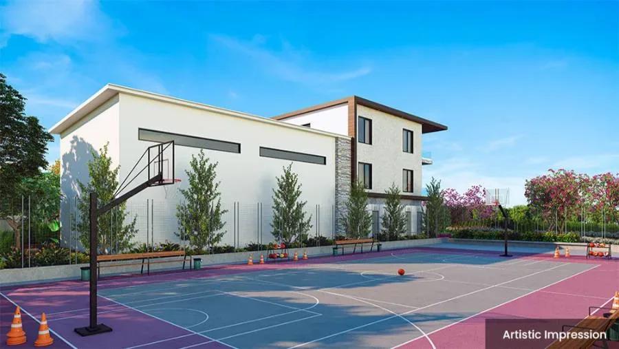 Adarsh Euphoria Plots plots