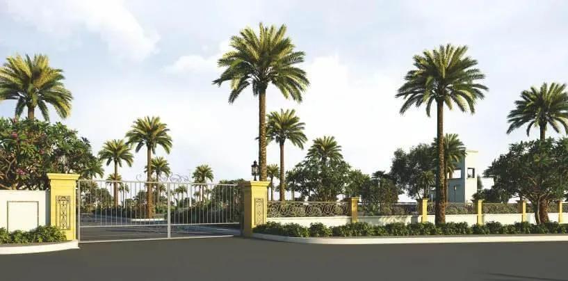 Aditya Palm Grove plots