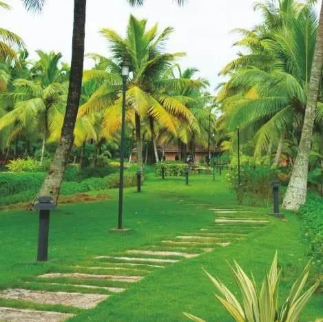 Aditya Palm Grove plots
