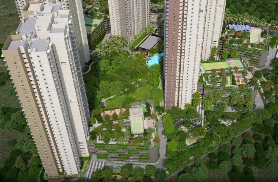 Alembic Cloud Forest apartments