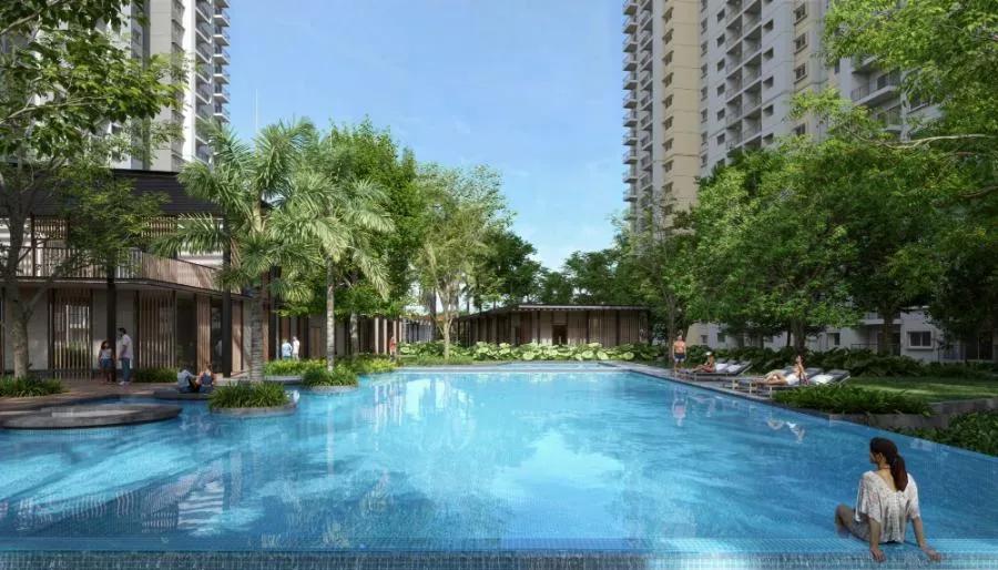 Alembic Cloud Forest apartments