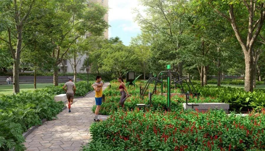 Alembic Cloud Forest apartments