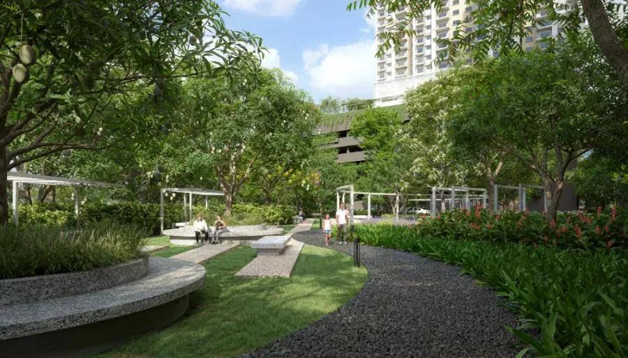 Alembic Cloud Forest apartments
