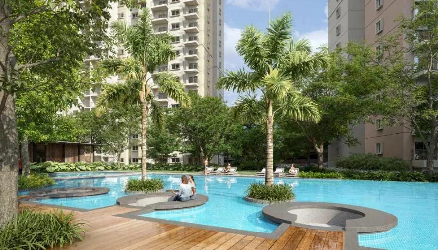 Alembic Cloud Forest apartments