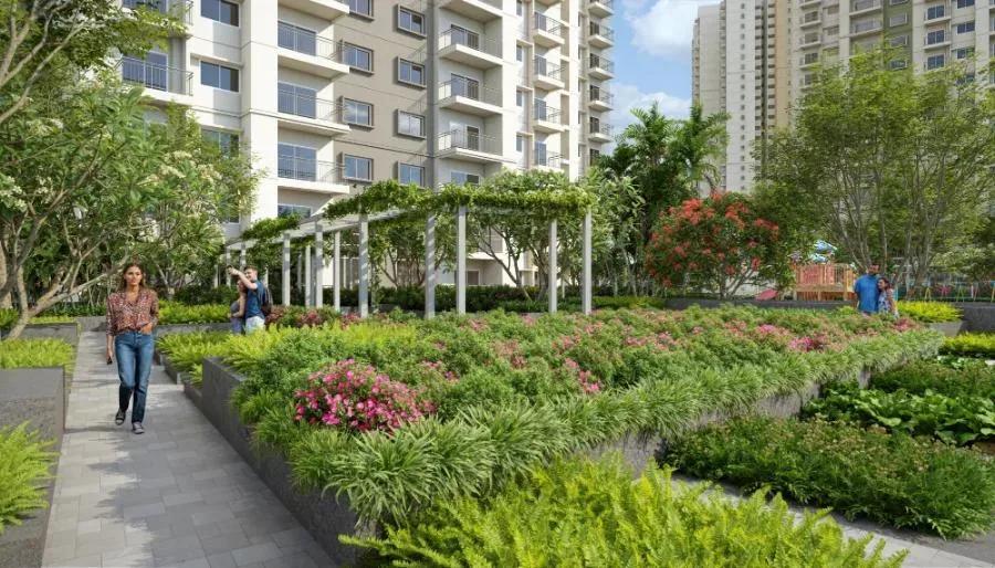 Alembic Cloud Forest apartments