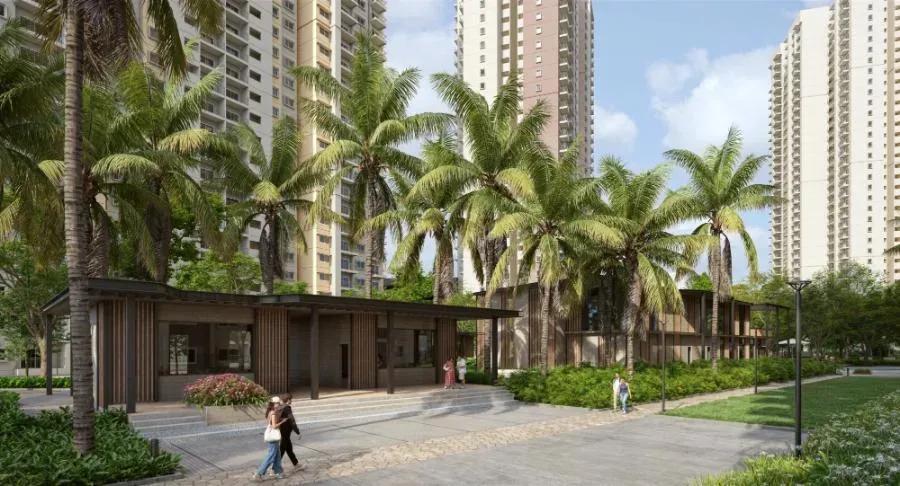 Alembic Cloud Forest apartments