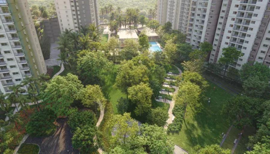 Alembic Cloud Forest apartments