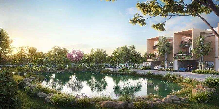 Allure Avani Villas villas