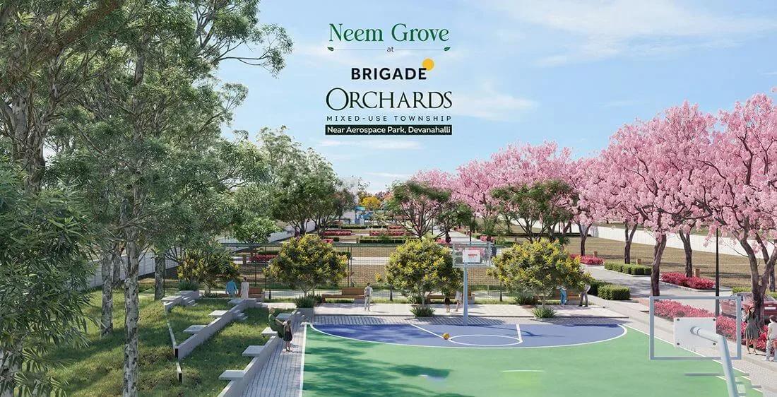 Brigade Neem Grove