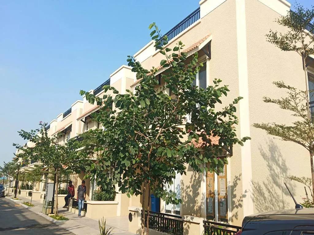CasaGrand Bloom villas