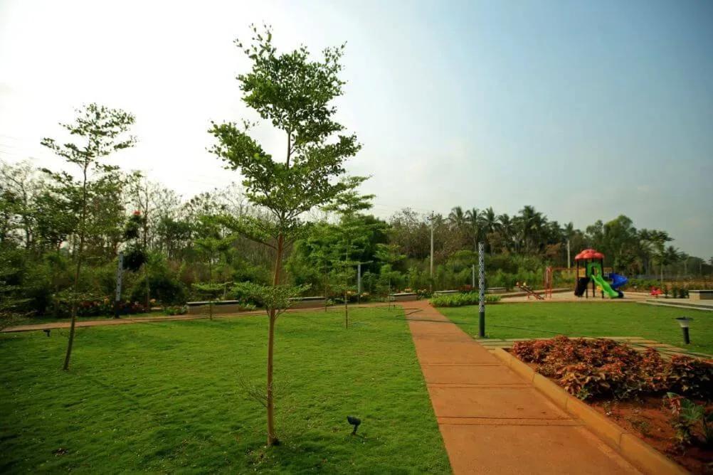 Century Eden Phase 2 plots