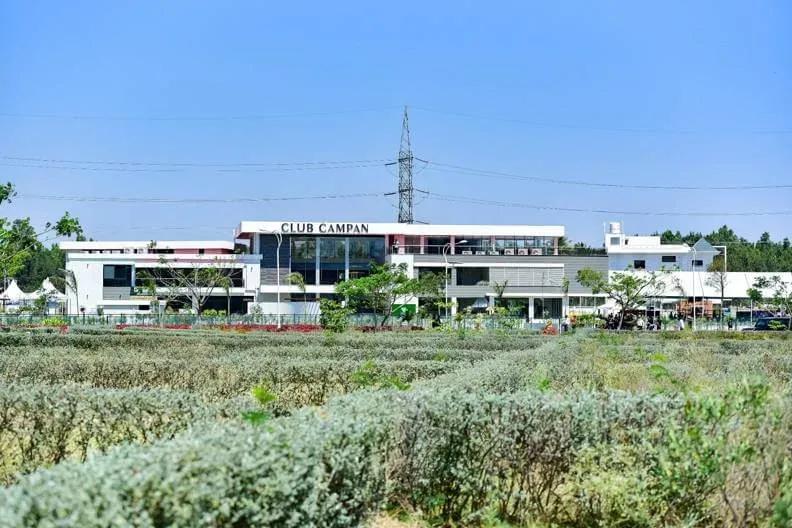 Cornerstone Campan Valley plots