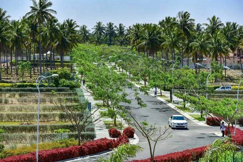 Cornerstone Campan Valley plots