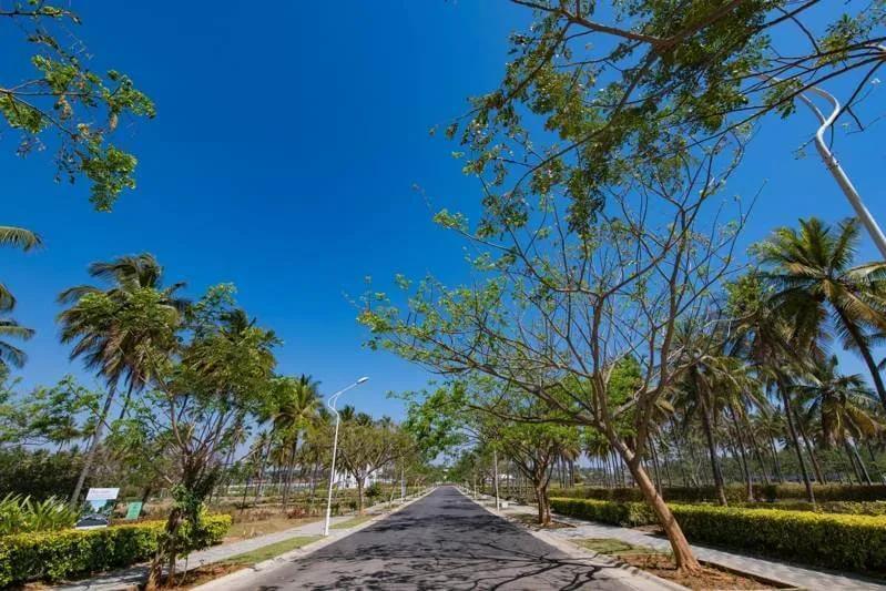 Cornerstone Campan Valley plots