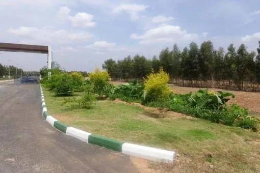 DivyaSree Belle Vue plots