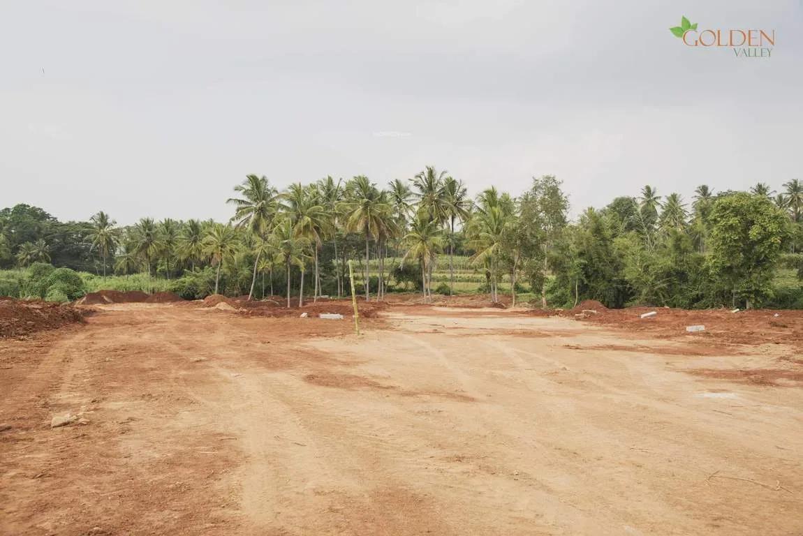 Golden Valley II plots