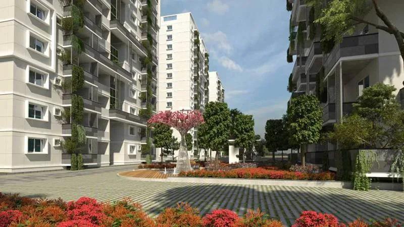 Mana Foresta apartments