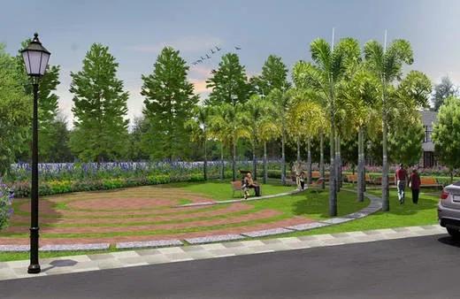 Nitesh Rio plots