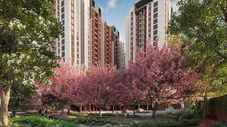 Provident Bayscape apartments