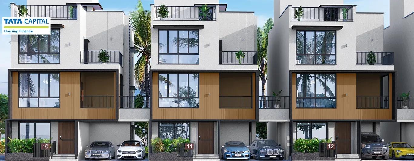 Radiance Edgewood