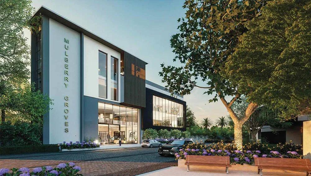 Saiven Mulberry Groves villas