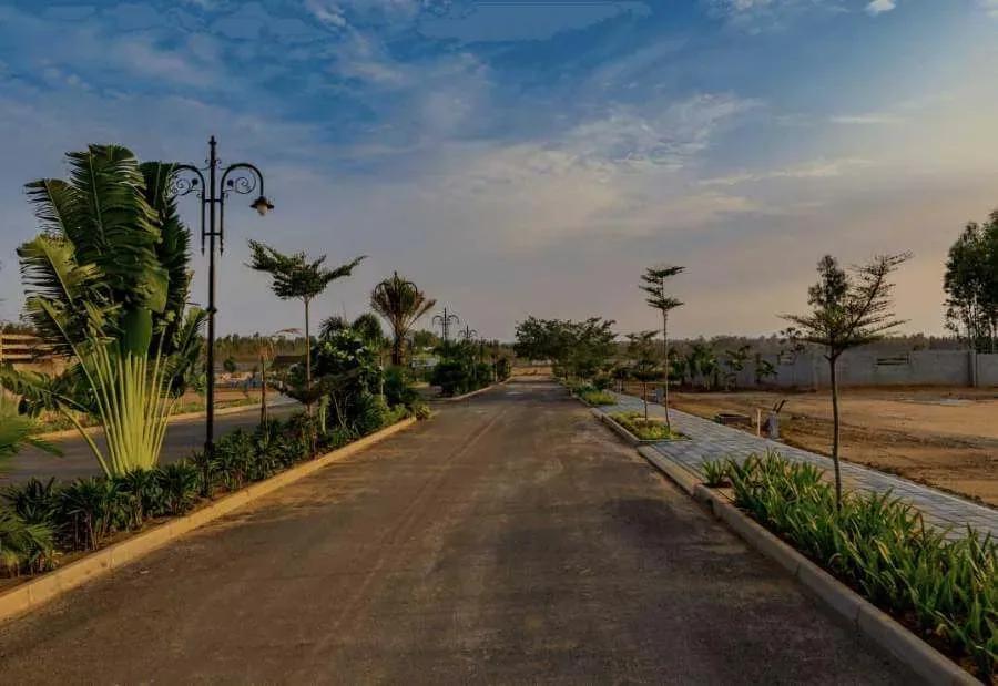 SPA EcoCity Plots plots
