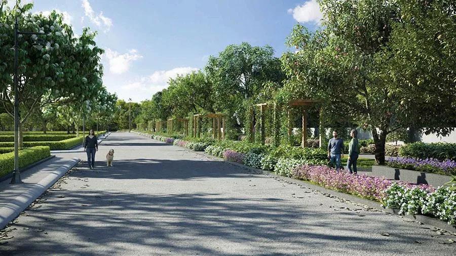 The Glenhart Estates Plots plots