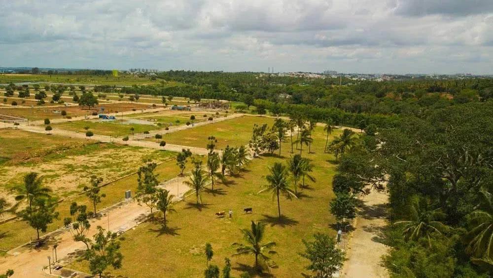 The Green Valley Address plots