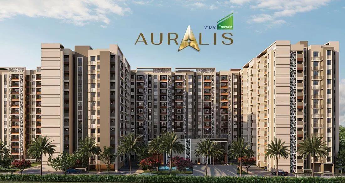 TVS Emerald Auralis