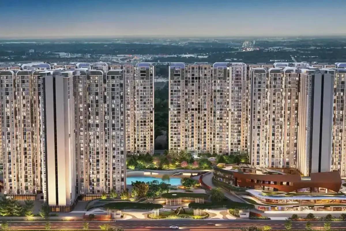 Purva Northern Lights