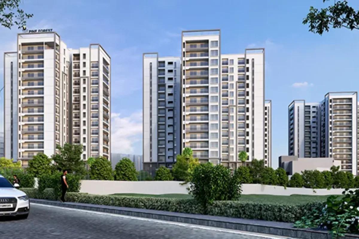 Prestige Pine Forest