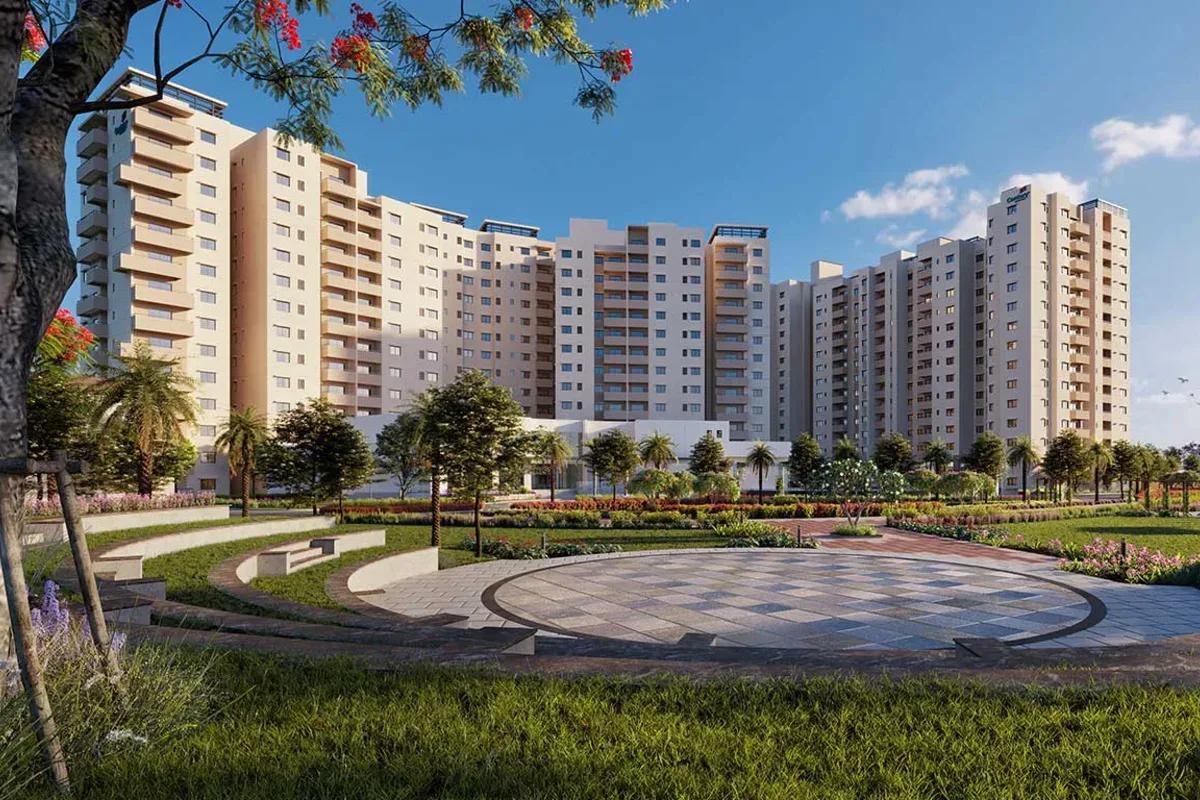 Century Breeze