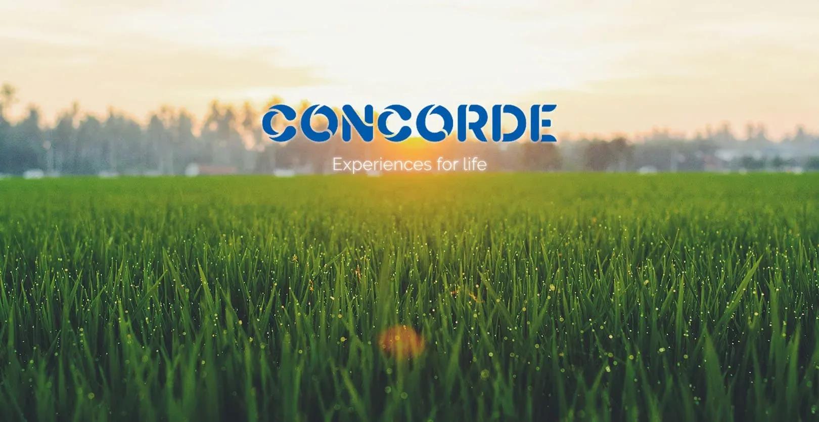Concorde Equity Plots