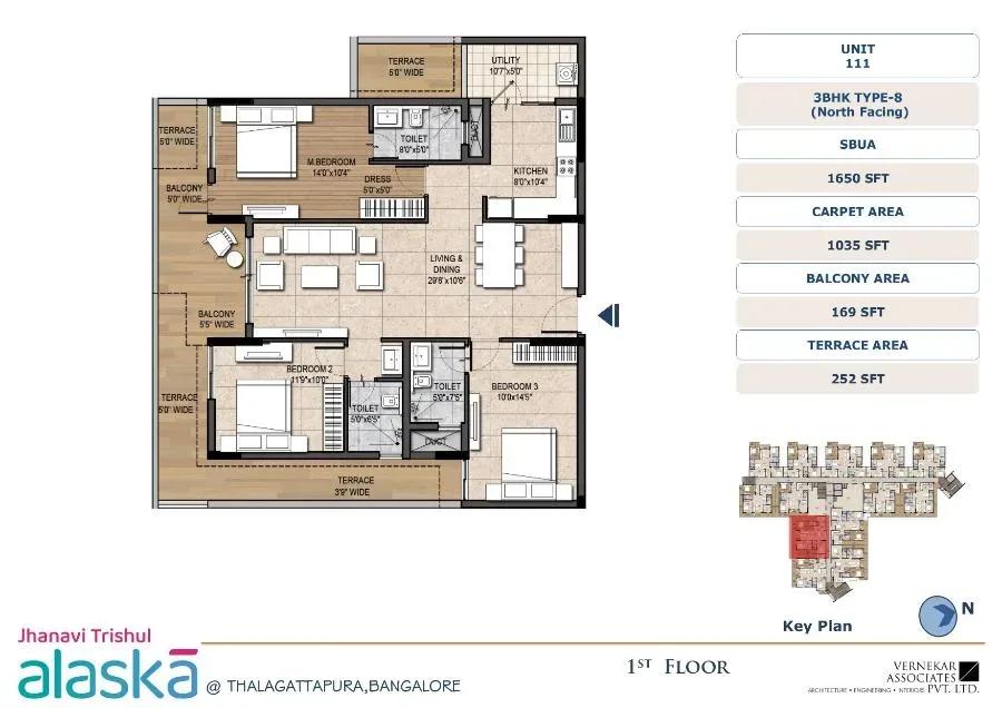 Jhanavi Trishul Alaska Apartments apartments